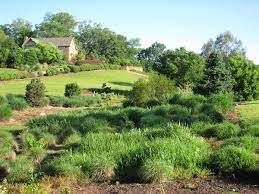 Green Infrastructure and Biofiltration