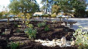 Watershed Friendly Gardens