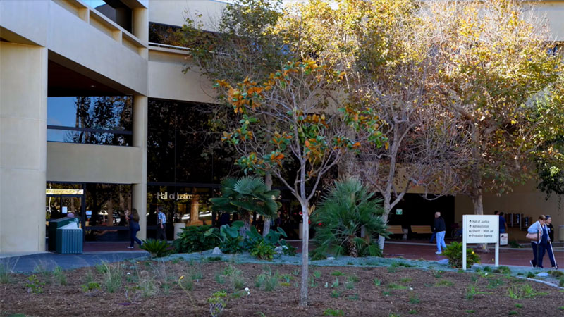 Government Center Garden